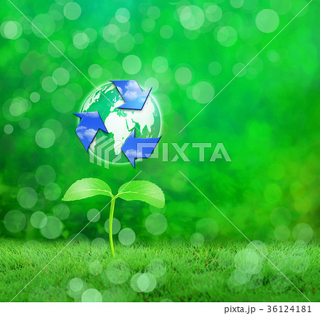若葉から芽生えるリサイクル 36124181