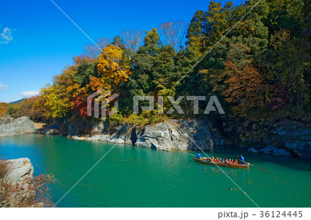 長瀞の紅葉と長瀞ライン下り　 36124445