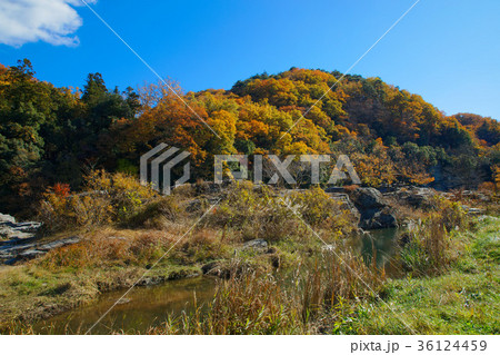 長瀞の紅葉 長瀞の紅葉 36124459
