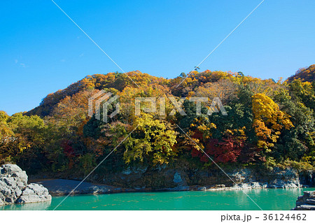 長瀞の紅葉 長瀞の紅葉 36124462