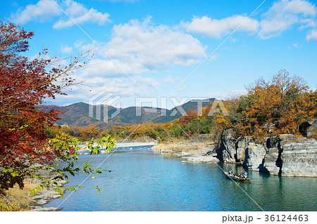 長瀞の紅葉と長瀞ライン下り 長瀞の紅葉と長瀞ライン下り 36124463