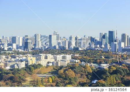 東京眺望　秋　(新宿より赤坂・六本木方面) 36124564