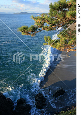 竜王岬展望台からの景色(桂浜) 竜王岬展望台からの景色(桂浜) 36124732