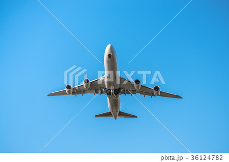 青空を滑空する旅客機 36124782