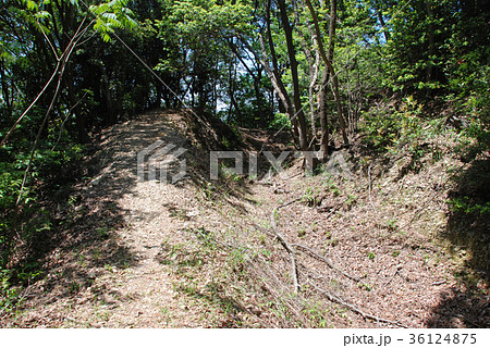 高天神城跡　二の丸空堀 36124875