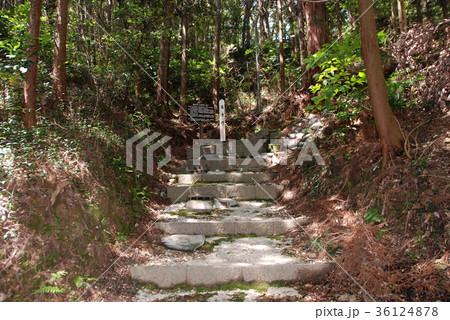 高天神城 追手門跡 高天神城 追手門跡 36124878