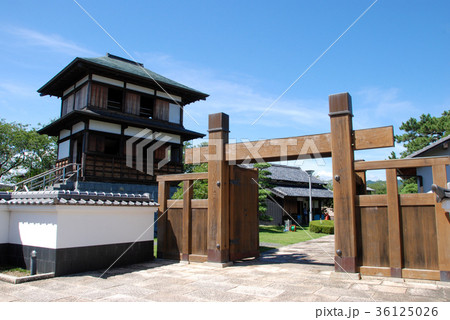 田中城 下屋敷跡 田中城 下屋敷跡 36125026