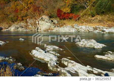 長瀞の紅葉 36125057