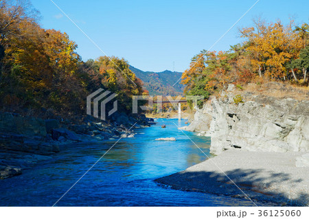 長瀞の紅葉と長瀞ライン下り 金石水管橋 長瀞の紅葉と長瀞ライン下り 金石水管橋 36125060