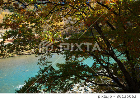 長瀞の紅葉 金石水管橋 長瀞の紅葉 金石水管橋 36125062
