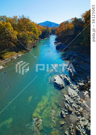 長瀞の紅葉　金石水管橋 36125065