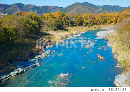 長瀞の紅葉と長瀞ライン下り　金石水管橋 36125143