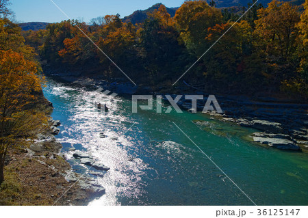 長瀞の紅葉と長瀞ライン下り　金石水管橋 36125147