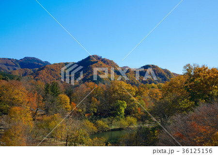 長瀞の紅葉 金石水管橋 長瀞の紅葉 金石水管橋 36125156