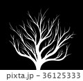White silhouette of a tree on a black background. 36125333