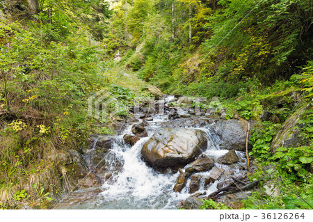 Mountain creek in Western Carinthia, Austria Mountain creek in Western Carinthia, Austria 36126264