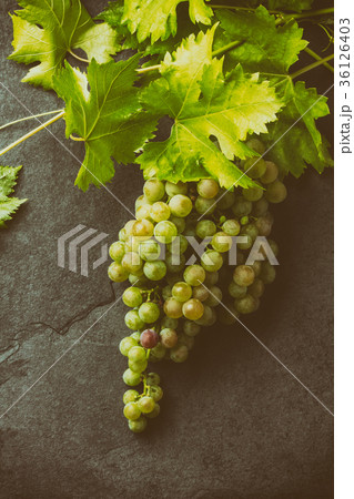 Grape and corkscrews wine concept, Stone Grape and corkscrews wine concept, Stone 36126403