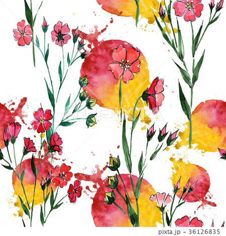 Wildflower flax flower pattern in a watercolor Wildflower flax flower pattern in a watercolor 36126835