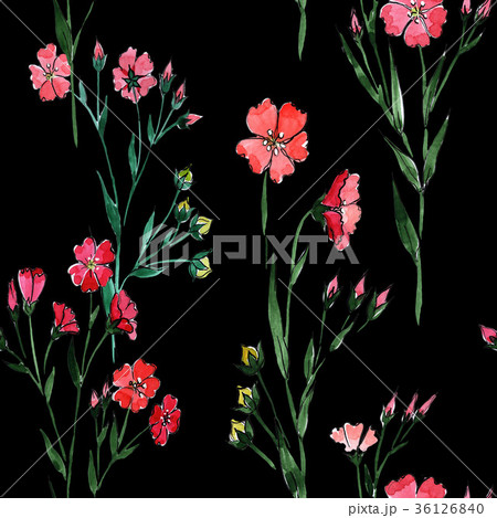 Wildflower flax flower pattern in a watercolor Wildflower flax flower pattern in a watercolor 36126840