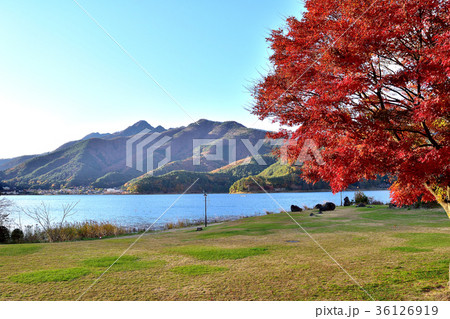 紅葉と富士山 36126919