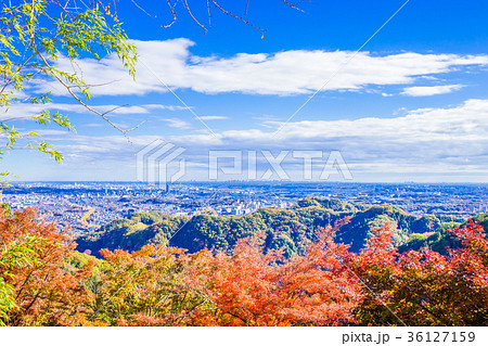 東京　高尾山の紅葉（金比羅台展望台からの眺望） 36127159