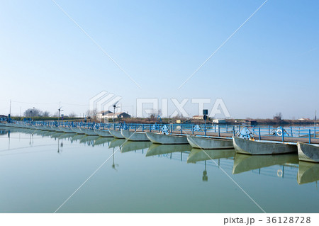Bridge of boats perspective view 36128728