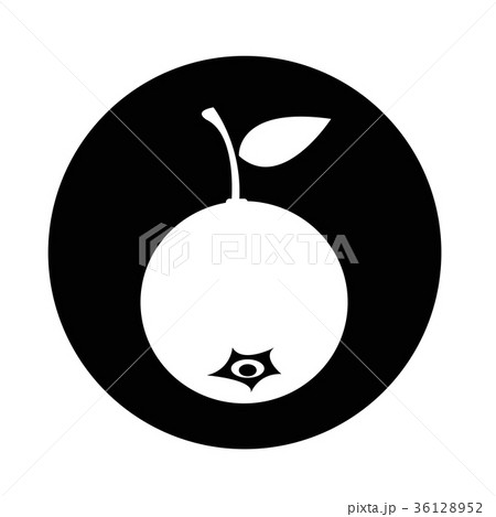 blueberry fruit icon 36128952