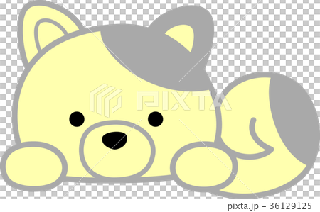 Gray gray yellow 36129125