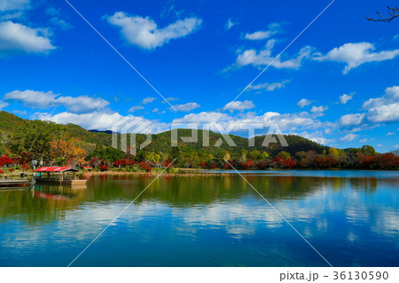 大覚寺の大沢池と水境(京都) 大覚寺の大沢池と水境(京都) 36130590