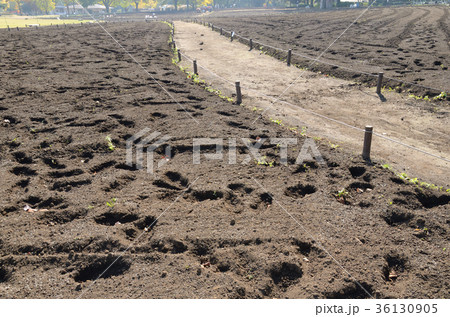 種を撒く前、土づくりが始まった畑 種を撒く前、土づくりが始まった畑 36130905