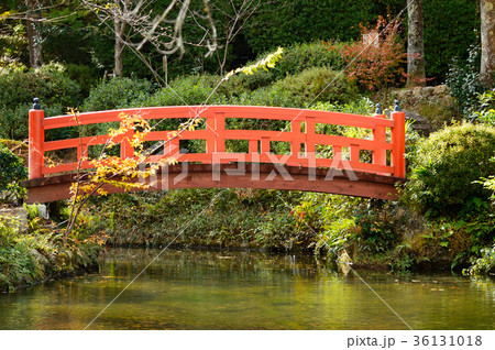 秋の打吹公園・倉吉市 秋の打吹公園・倉吉市 36131018