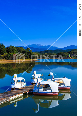 雲仙 諏訪の池の紅葉とスワンボートの写真素材