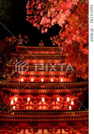 紅葉と五重塔ライトアップ 紅葉と五重塔ライトアップ 36131093