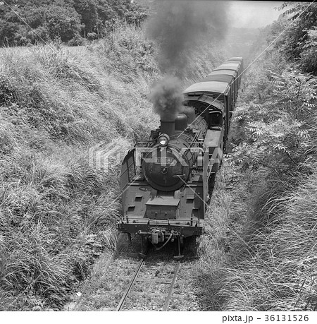大隅線の蒸気機関車 36131526