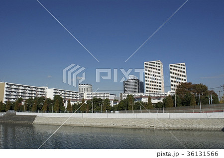 浦安市 11月 浦安市 11月 36131566