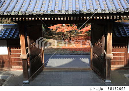 瑞応寺 36132065