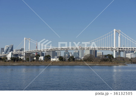 晴天の日の東京湾に架かるレインボーブリッジ RainbowBridgeTOKYO 晴天の日の東京湾に架かるレインボーブリッジ RainbowBridgeTOKYO 36132505