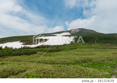 白山 / 弥陀ヶ原 /　夏 36132639
