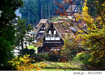 相倉合掌集落 36133097