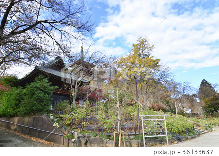 本土寺 36133637