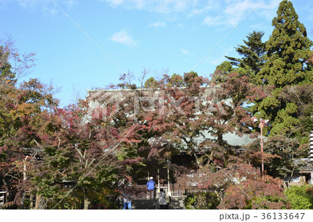 本土寺 本土寺 36133647