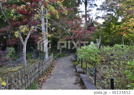 本土寺 本土寺 36133652