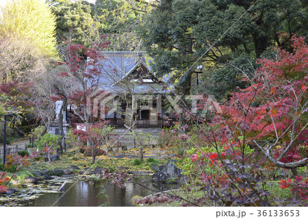 本土寺 本土寺 36133653