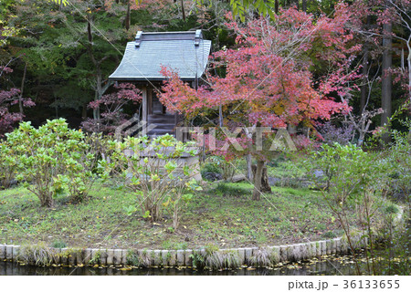 本土寺 36133655