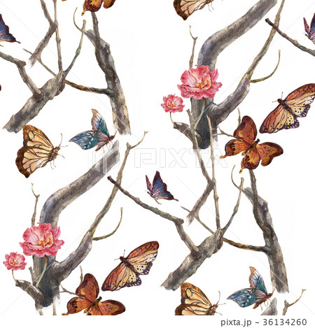 Watercolor painting of butterfly and flowers 36134260