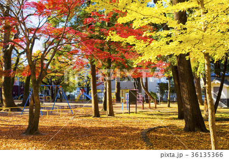 わが町シリーズ・秋の勝山公園 36135366