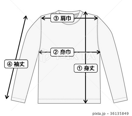 長袖Tシャツ・ロンT 寸法表・サイズ表用イメージイラストのイラスト素材 [36135849] - PIXTA