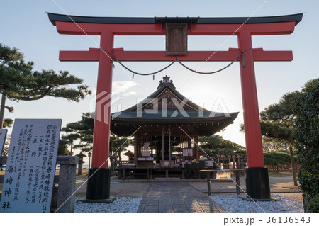 唐崎神社 唐崎神社 36136543
