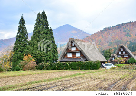 白川郷合掌造り 36136674