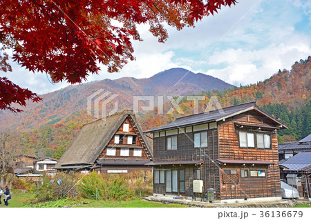 白川郷合掌造り 36136679